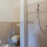 Apartment Casa San Gennaro Collodi
