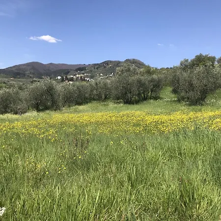 דירה Casa San Gennaro